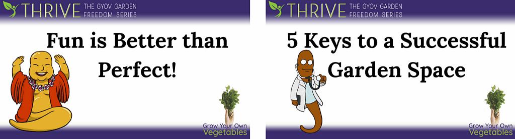 Fun and successful garden